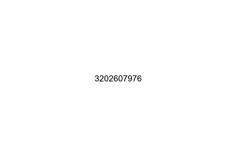 3202607976
