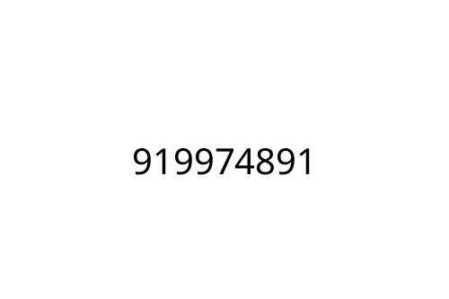 919974891