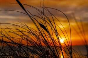 face framing layered fine hair medium length hairstyles