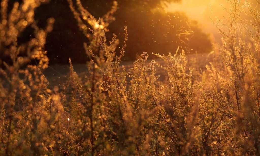 why biohunt2000 game are popular