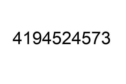 4194524573