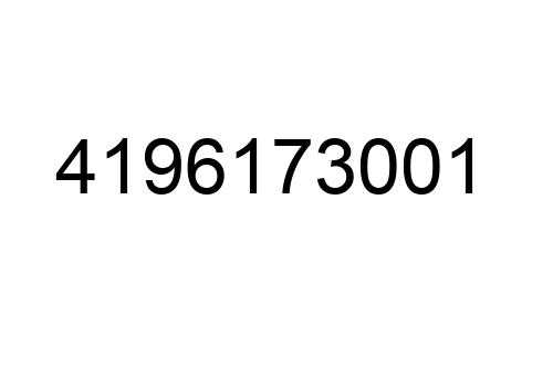 4196173001