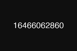 16466062860