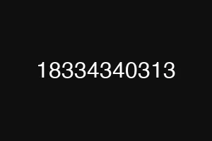 18334340313