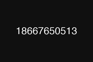 18667650513