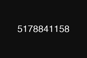 5178841158
