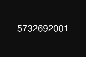 5732692001