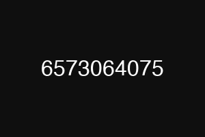 6573064075