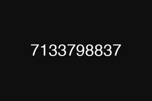 7133798837