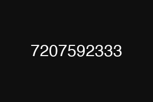 7207592333