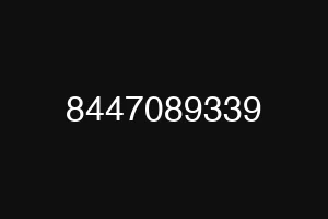 8447089339