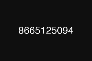 8665125094