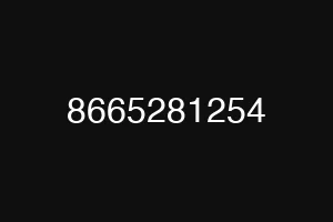 8665281254