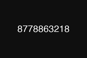 8778863218