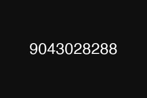 9043028288