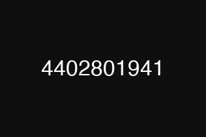4402801941