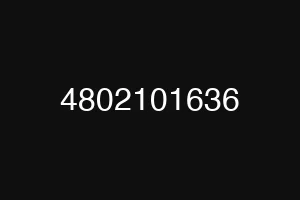 4802101636