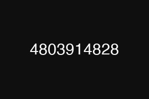 4803914828