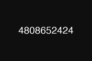 4808652424