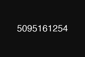 5095161254