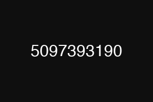 5097393190