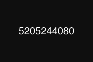 5205244080