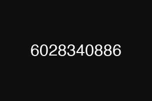 6028340886