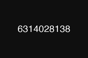 6314028138