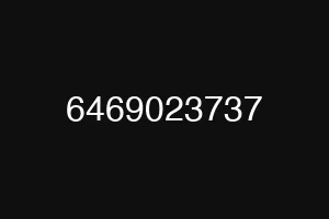 6469023737