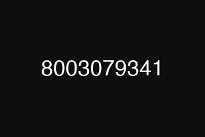 8003079341