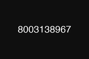 8003138967
