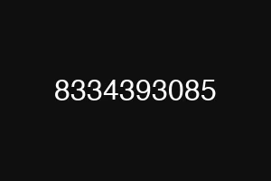 8334393085