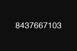 8437667103