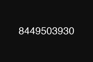8449503930