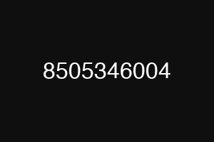 8505346004