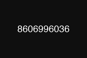 8606996036
