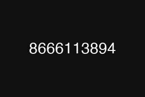 8666113894