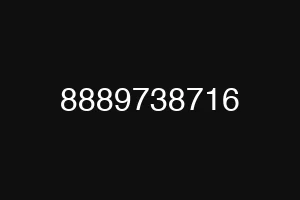 8889738716