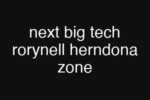 next big tech rorynell herndona zone